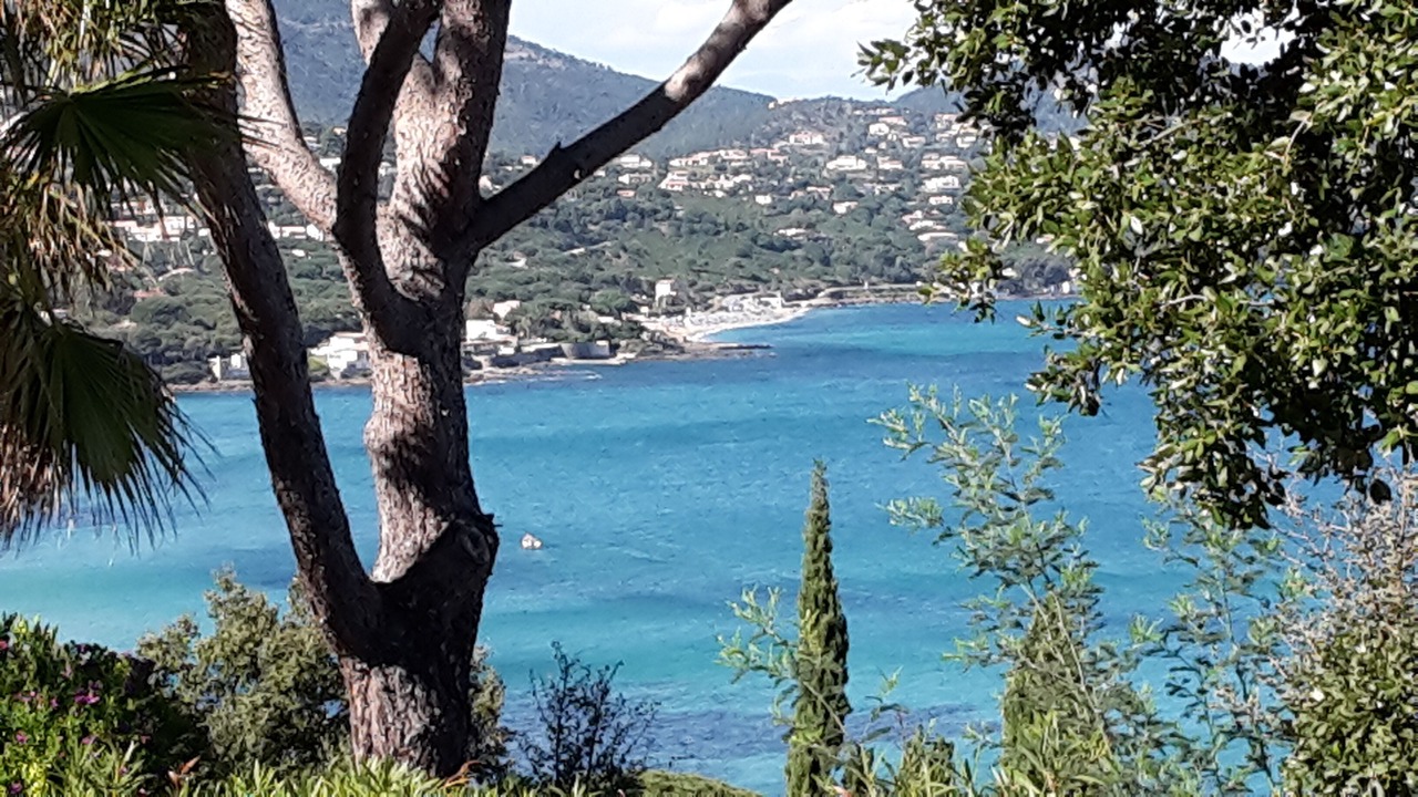 Photo of Others in Sainte-Maxime
