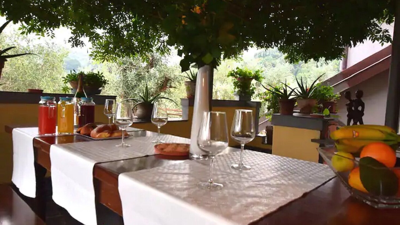 Photo of Outdoor in Camaiore