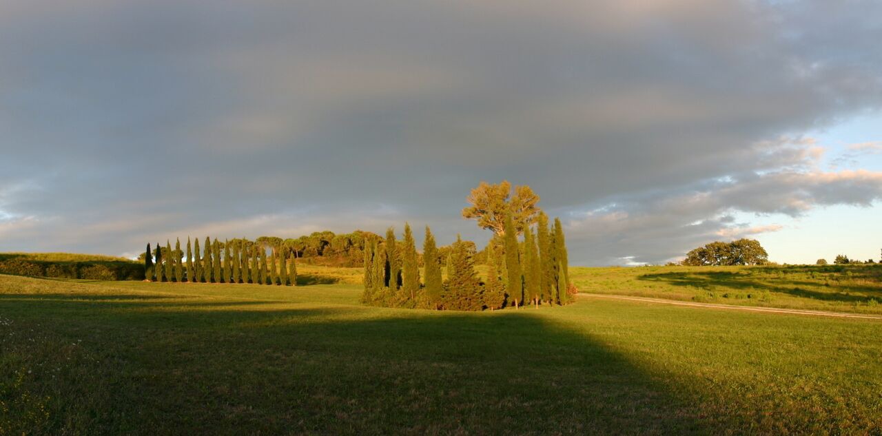 Photo of Others in Casale Marittimo