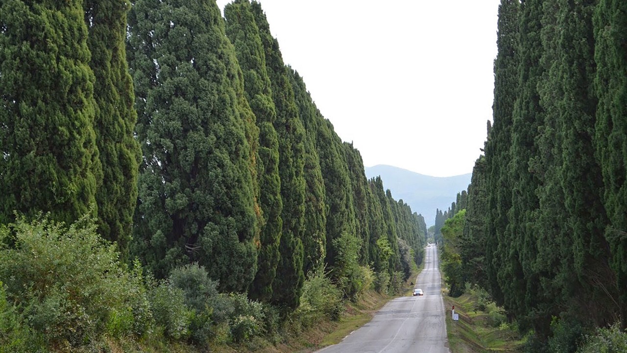 Photo of Outdoor in Casale Marittimo