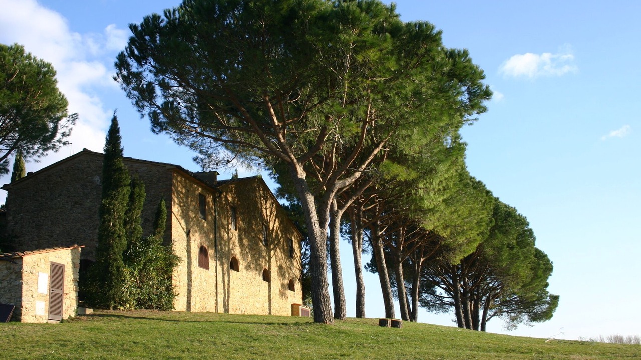 Photo of Outdoor in Casale Marittimo