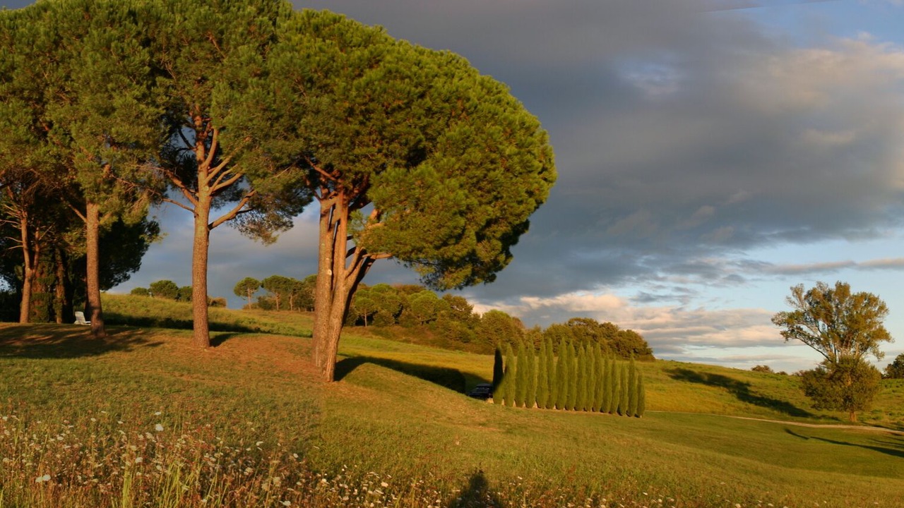 Photo of Others in Casale Marittimo
