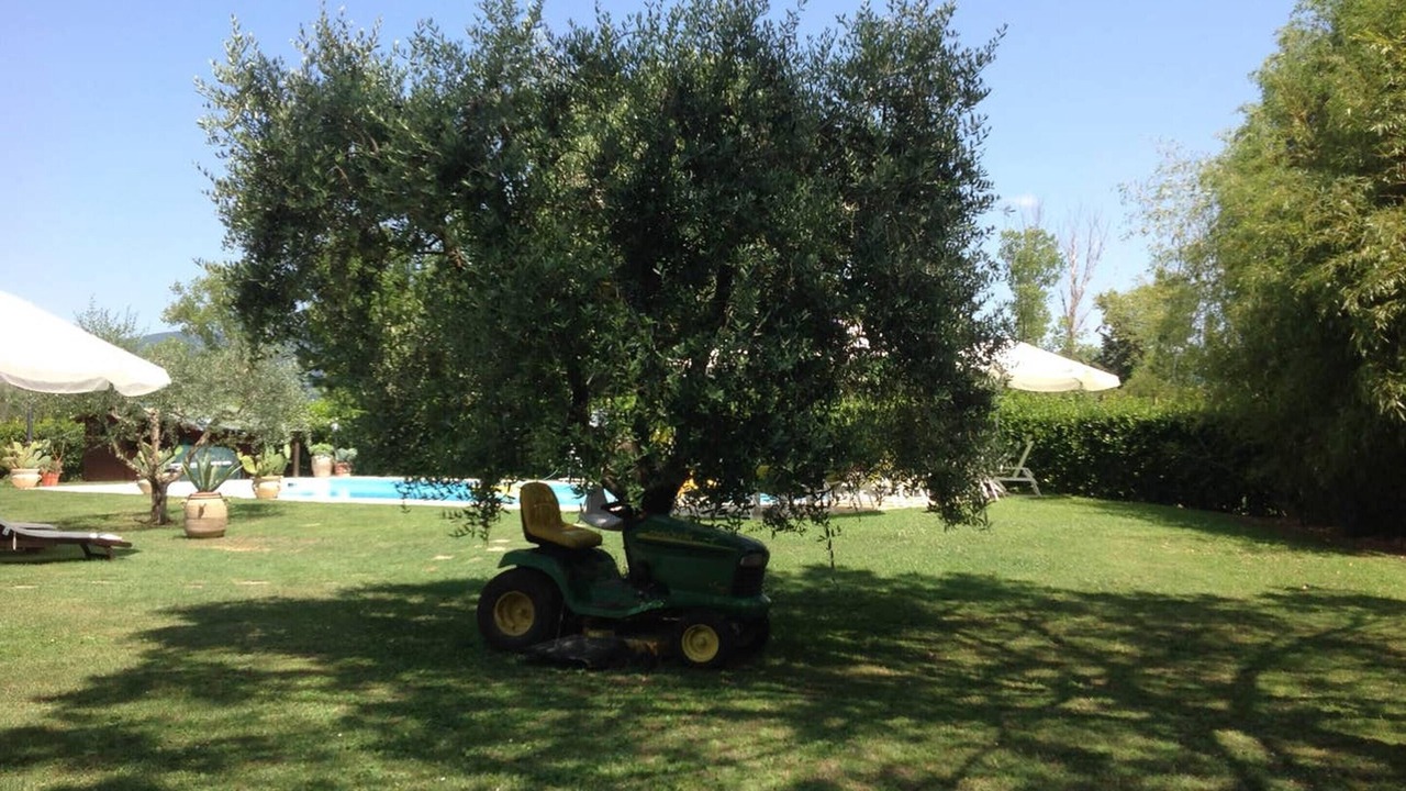 Photo of Outdoor in Pisa