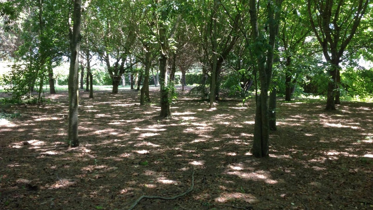 Photo of Outdoor in Pisa