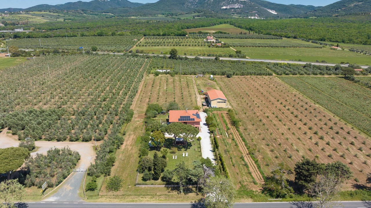Photo of Outdoor in San Vincenzo