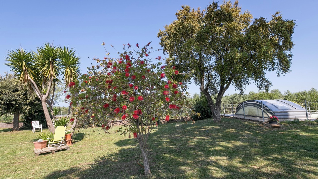 Photo of Outdoor in San Vincenzo