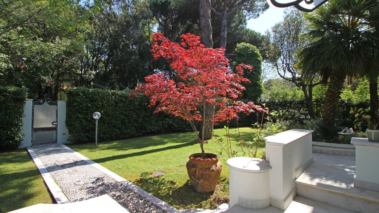 Photo of Outdoor in Poveromo
