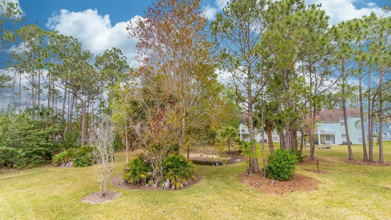 Photo of Outdoor in Campbell