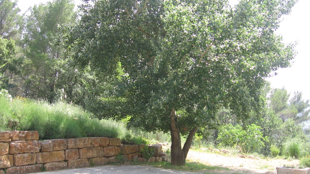 Photo of Outdoor in Fayence