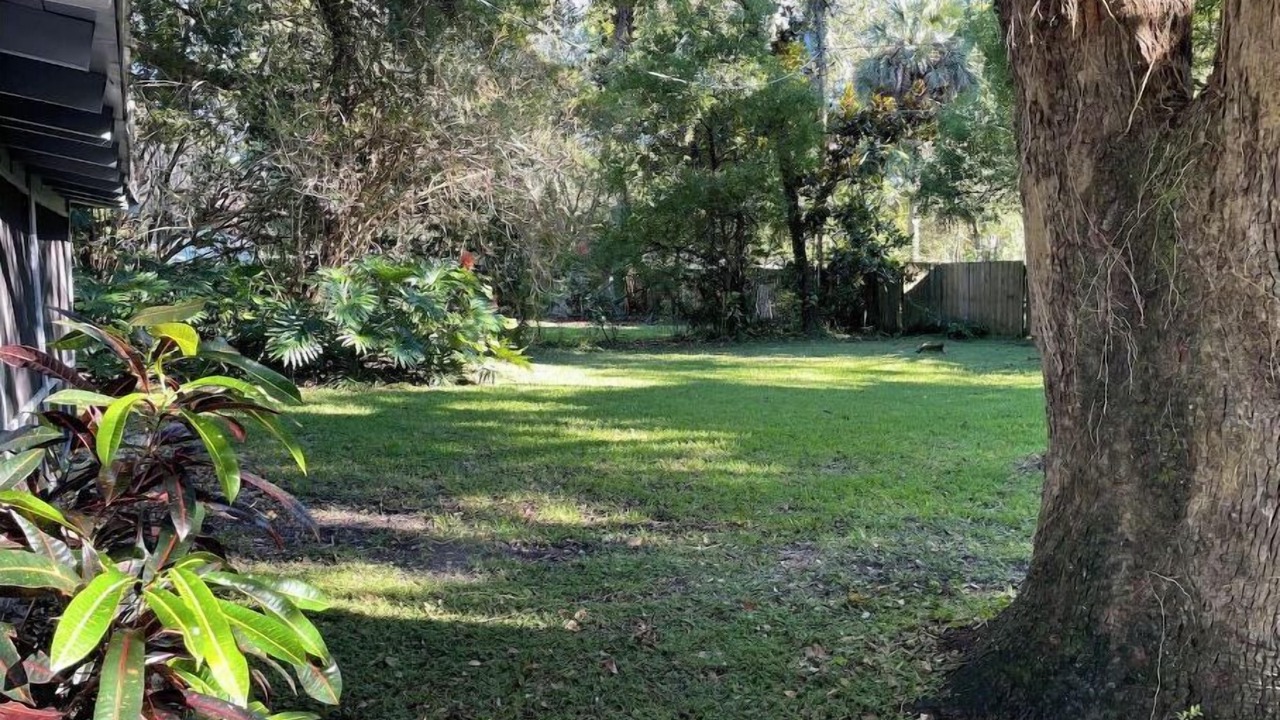 Photo of Outdoor in Winter Park