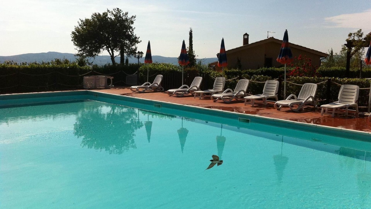 Photo of Outdoor in Pomaia