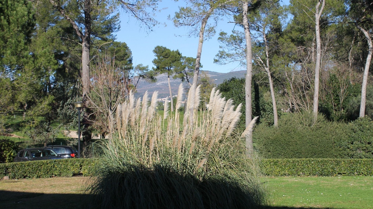 Photo of Outdoor in Mouans-Sartoux