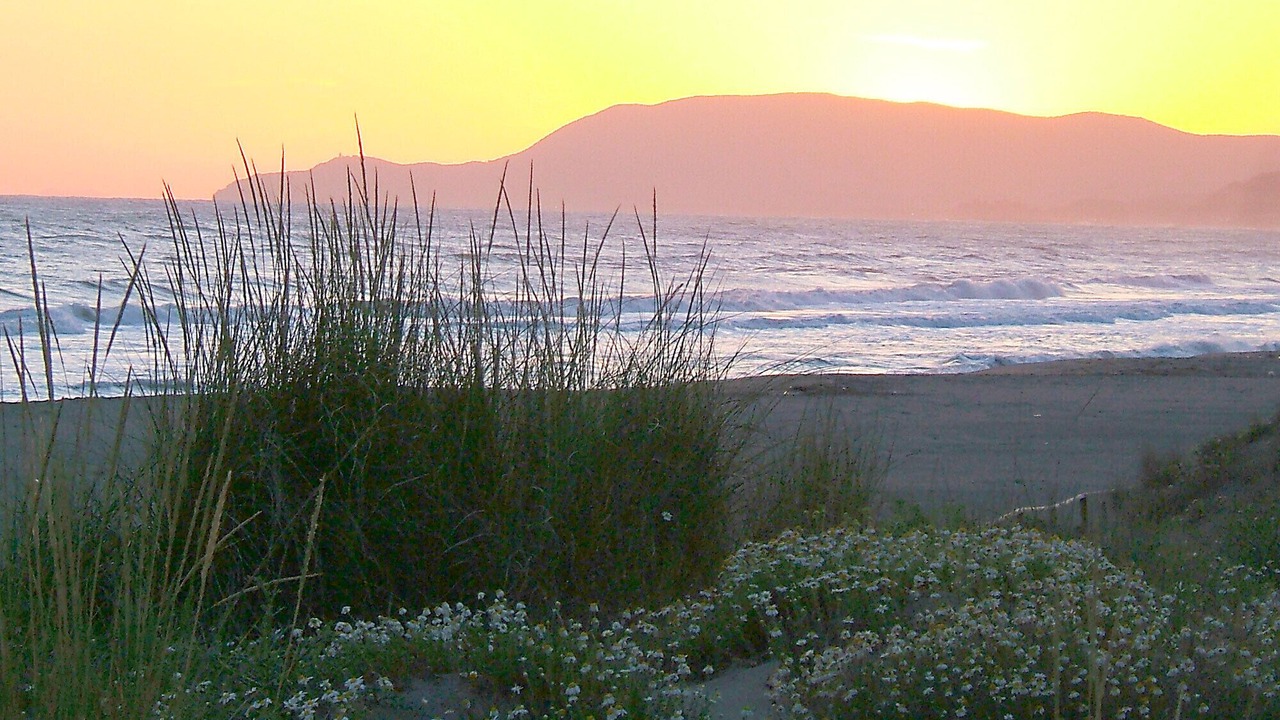 Photo of Others in Marina di Grosseto