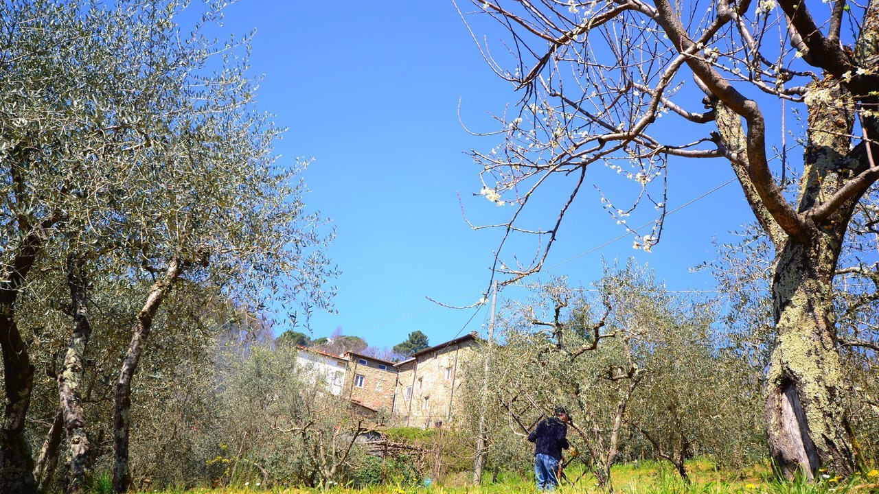 Photo of Outdoor in Villabuona