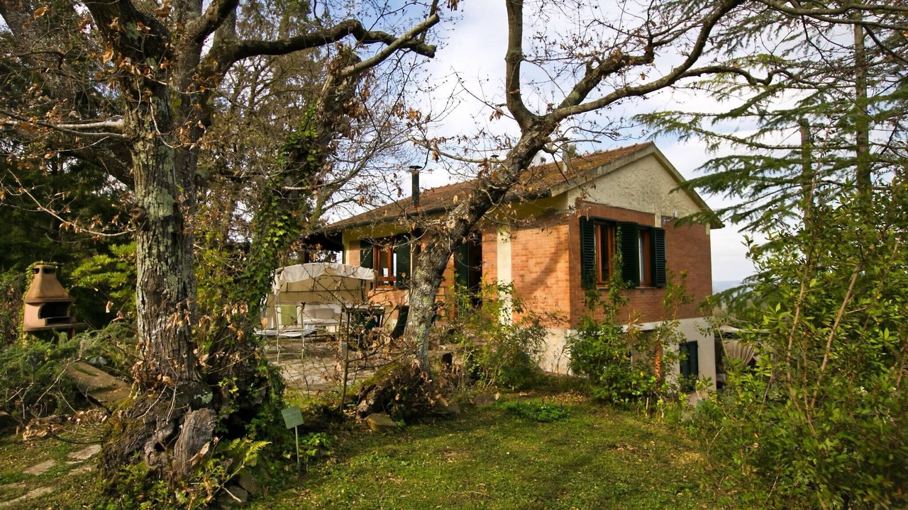 Photo of Outdoor in Donoratico