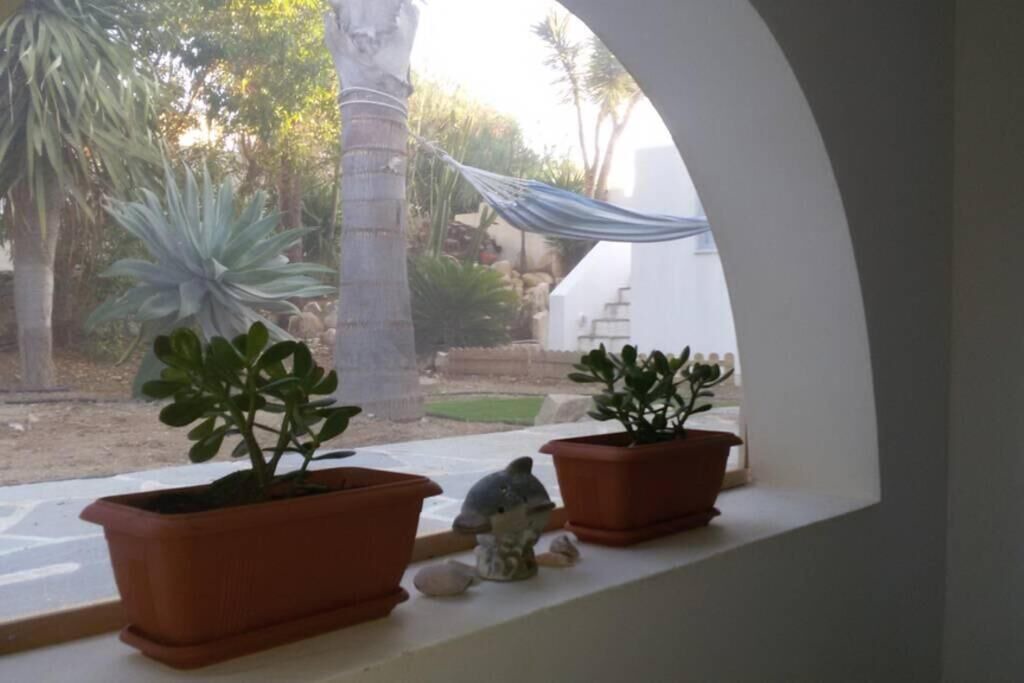 Photo of Outdoor in Kamari