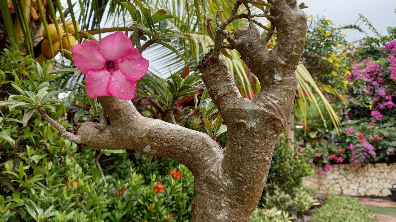 Photo of Outdoor in Kutuh