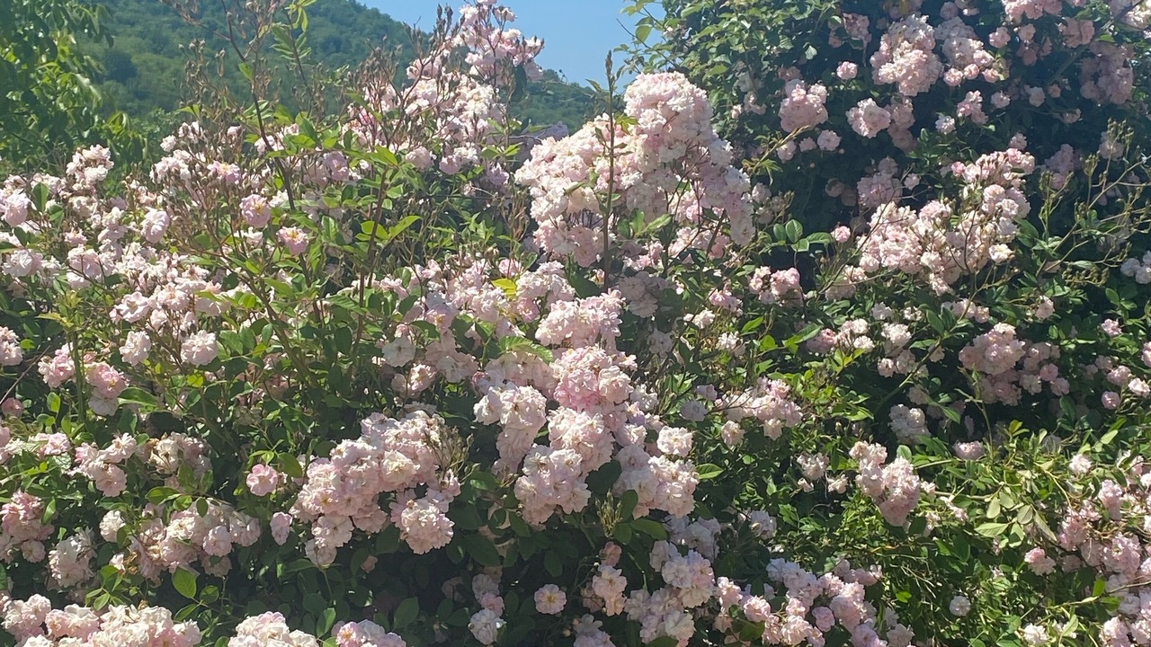 Photo of Outdoor in Gassano