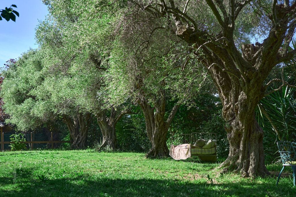 Photo of Outdoor in Plaine de la Brague