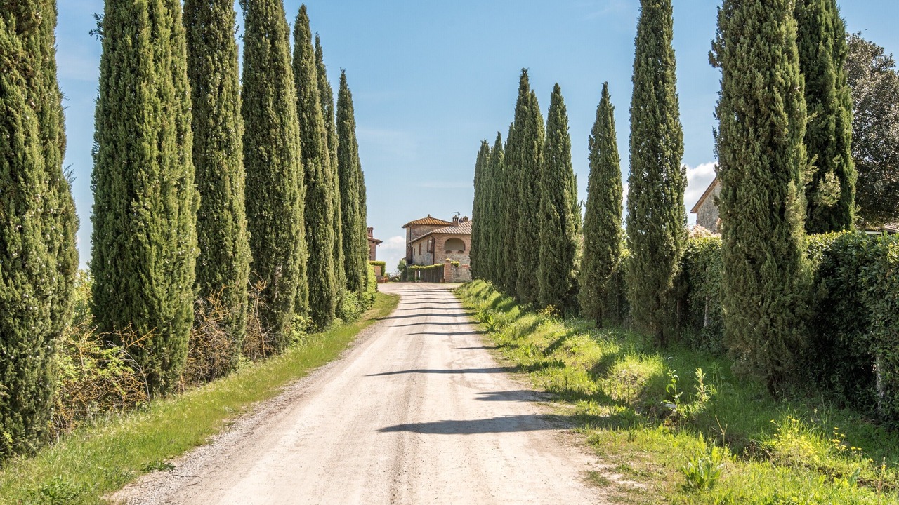 Photo of Outdoor in Ville di Corsano