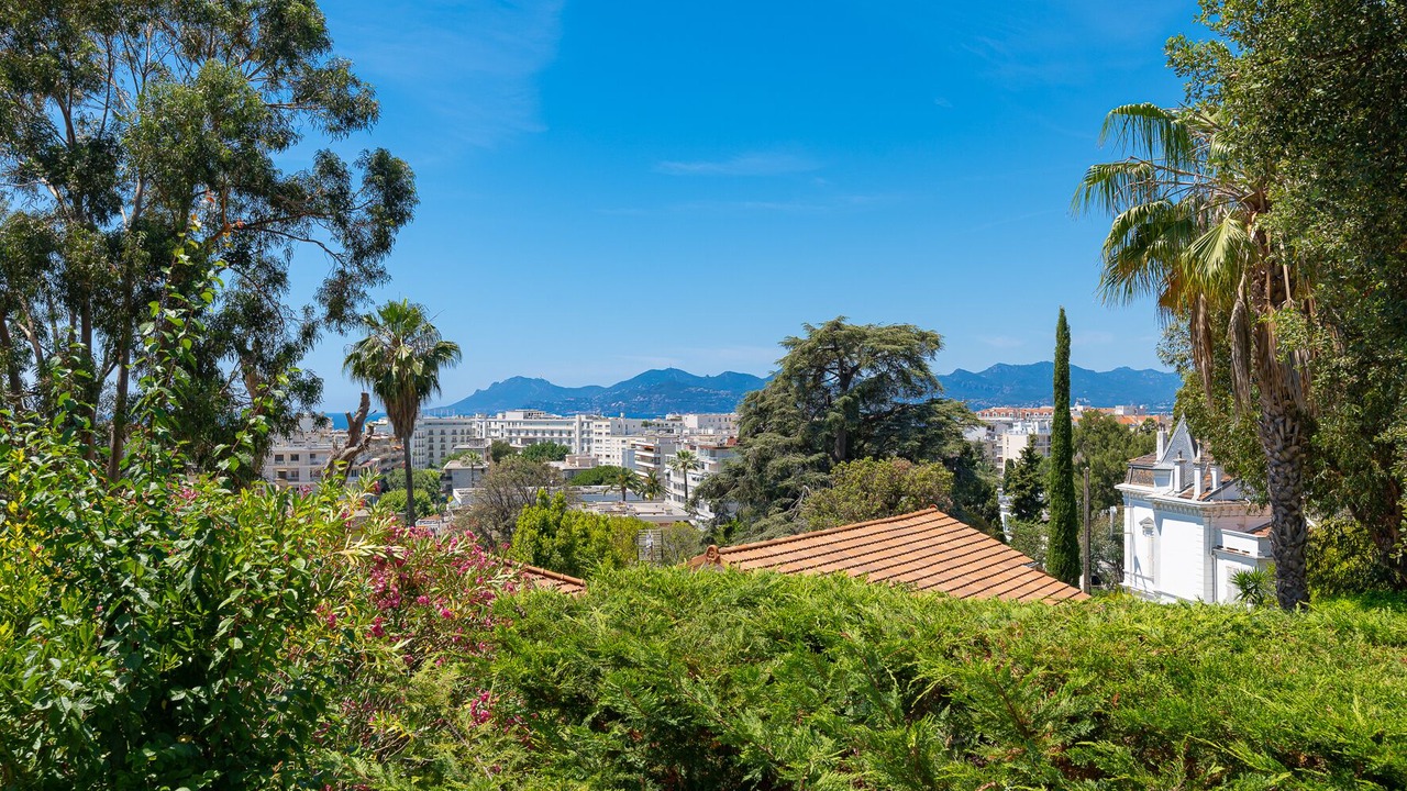 Photo of Outdoor in Cannes City Centre