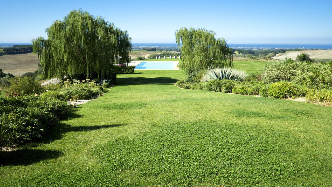 Photo of Outdoor in Castellina Marittima