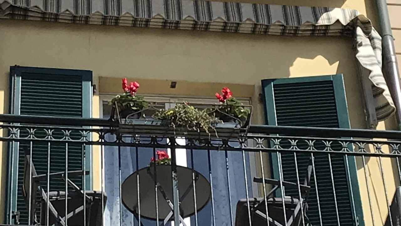 Photo of Outdoor in Lido di Camaiore