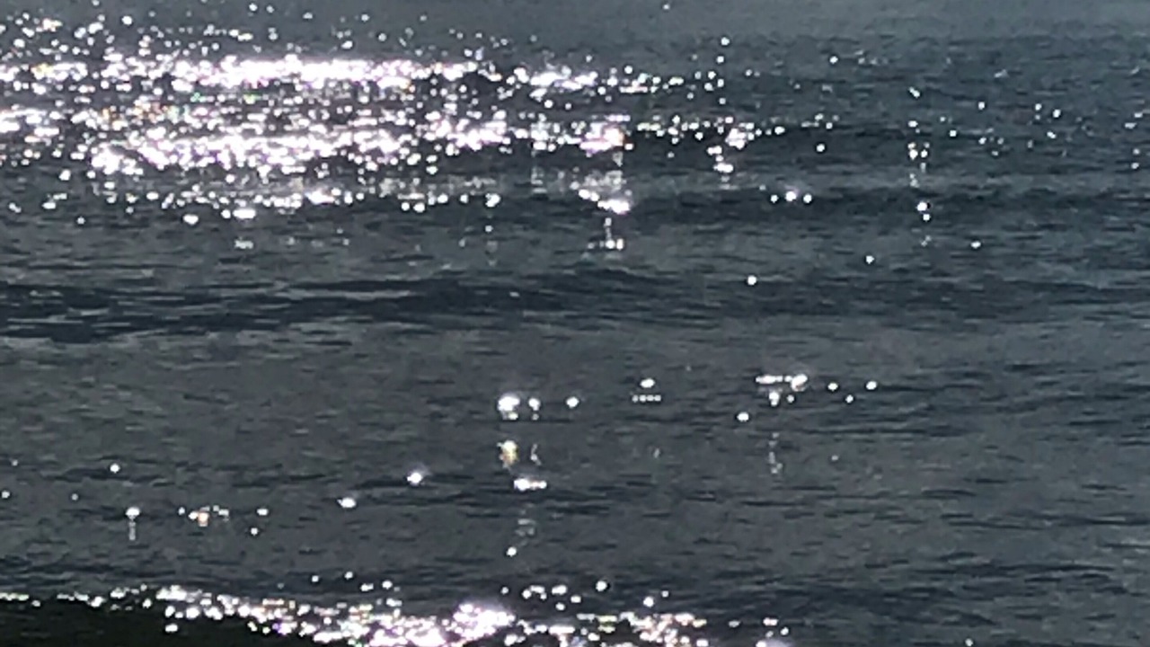 Photo of Others in Lido di Camaiore
