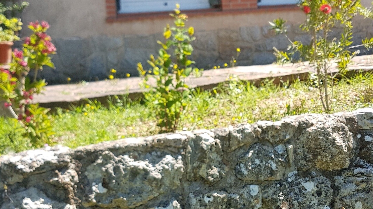 Photo of Outdoor in Saint-Paul-en-Foret