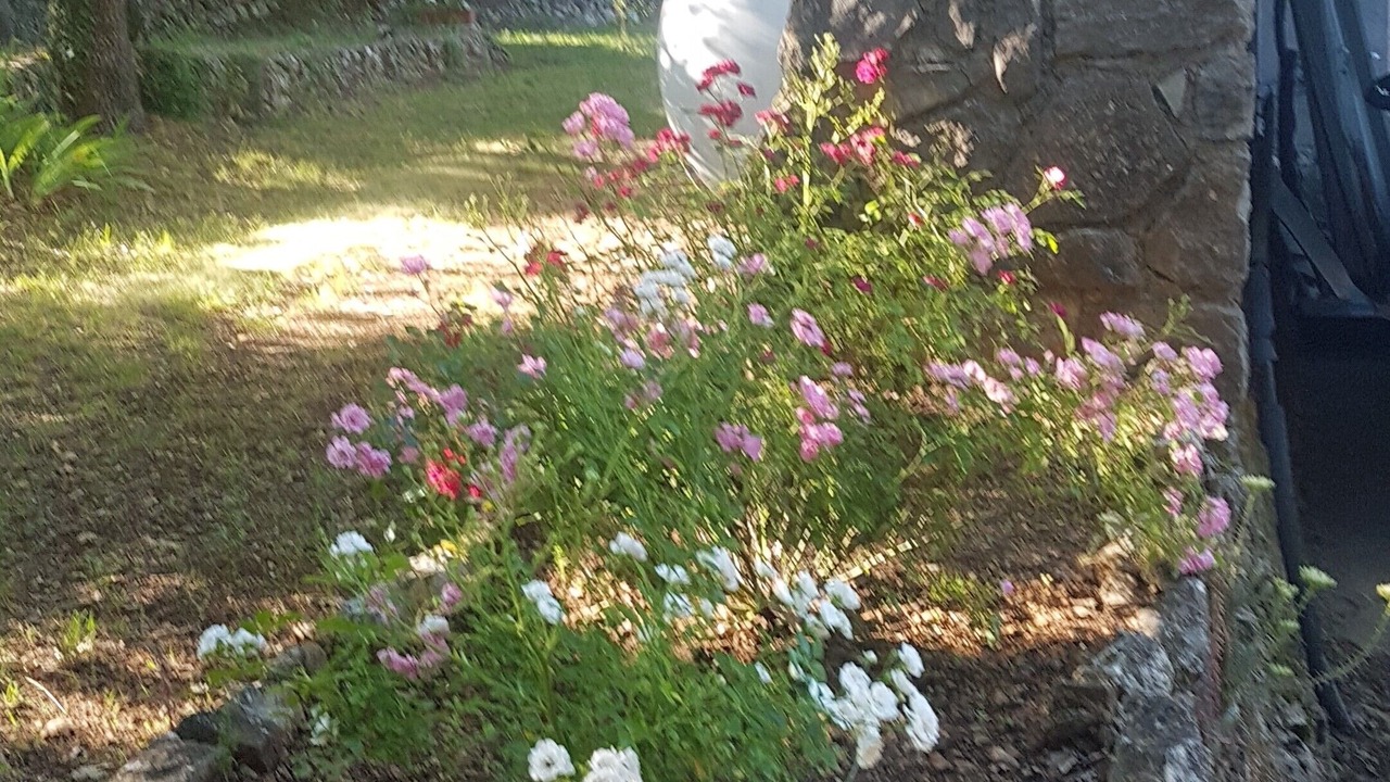 Photo of Outdoor in Saint-Paul-en-Foret