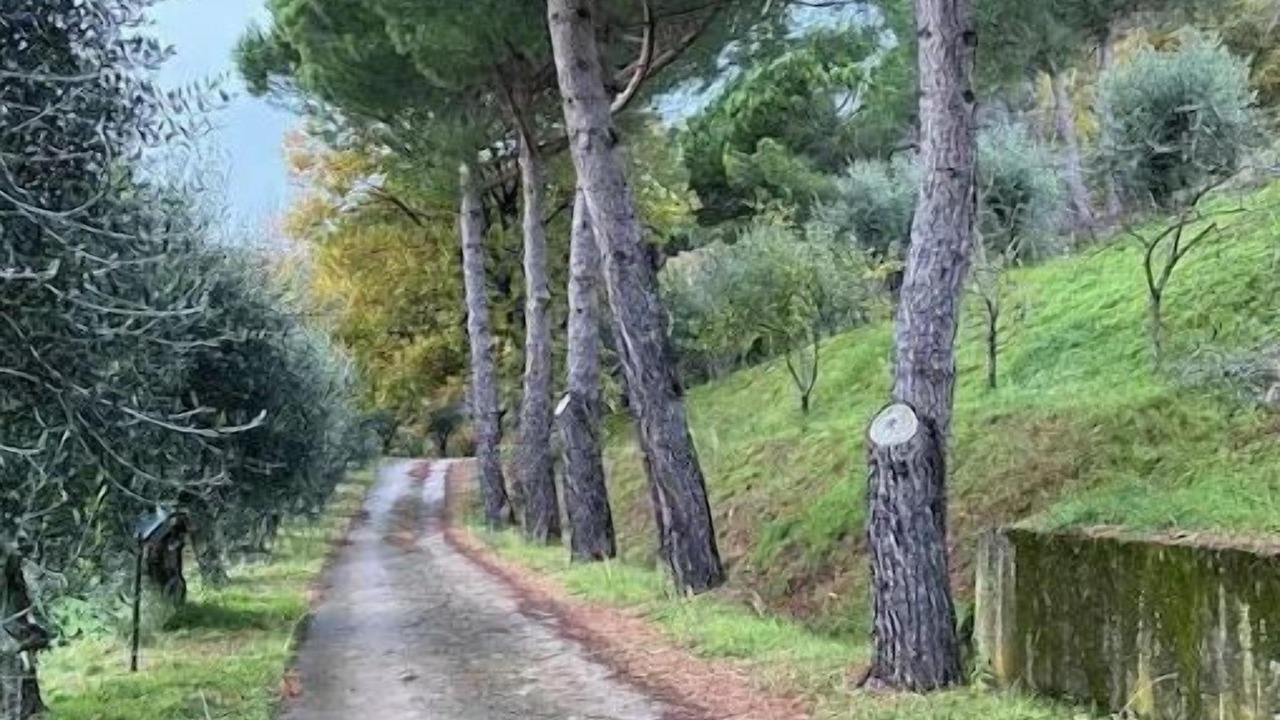 Photo of Outdoor in Corsanico