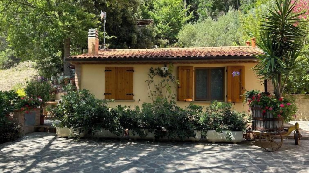 Photo of Others in Castellina Marittima