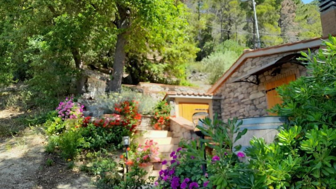 Photo of Outdoor in Castellina Marittima