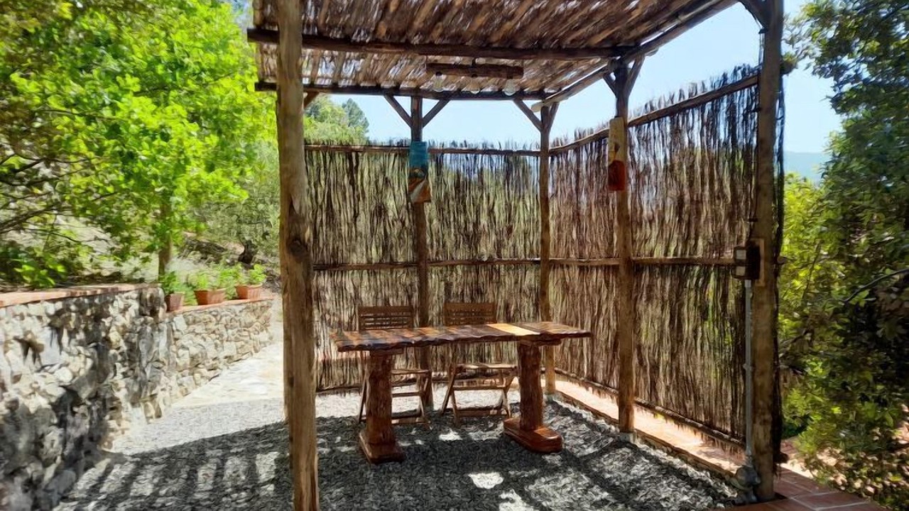 Photo of Outdoor in Castellina Marittima