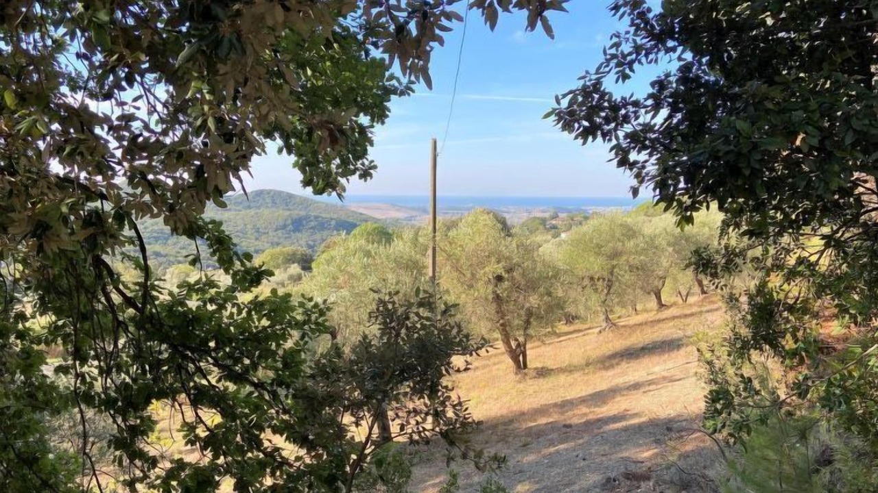 Photo of Others in Castellina Marittima