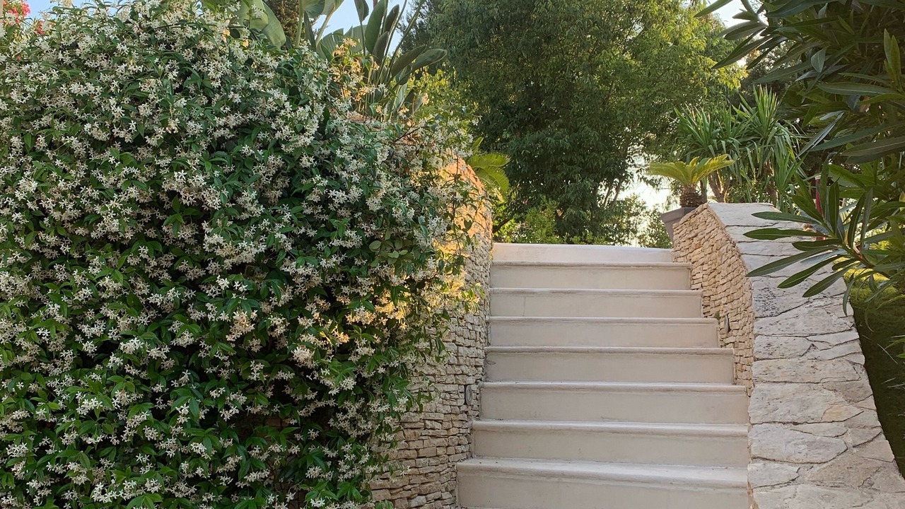 Photo of Outdoor in California - Pezou