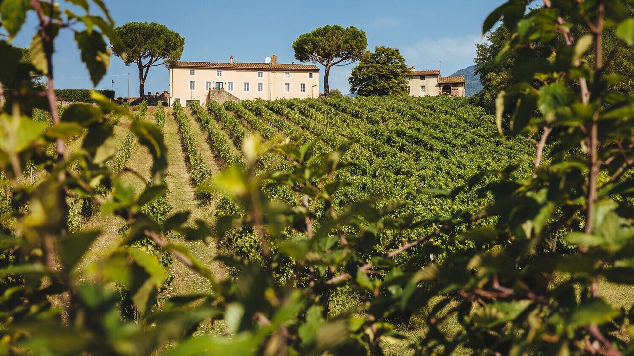 Photo of Outdoor in Capannori