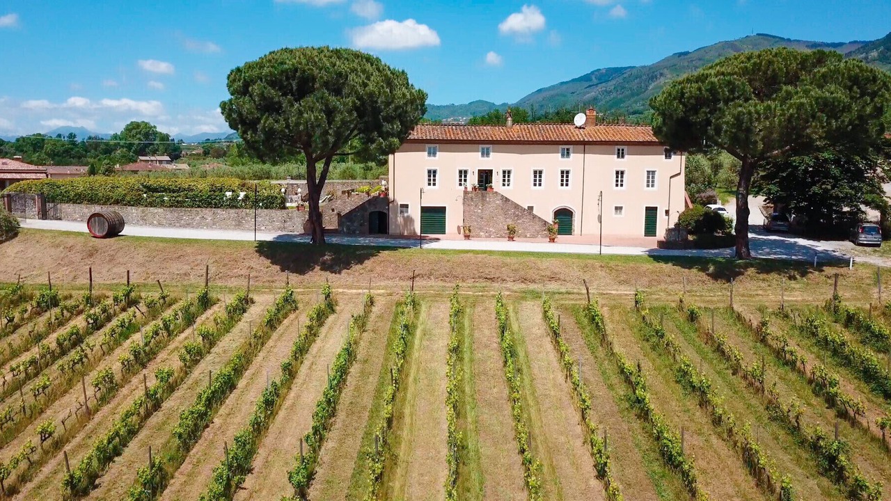 Photo of Outdoor in Capannori