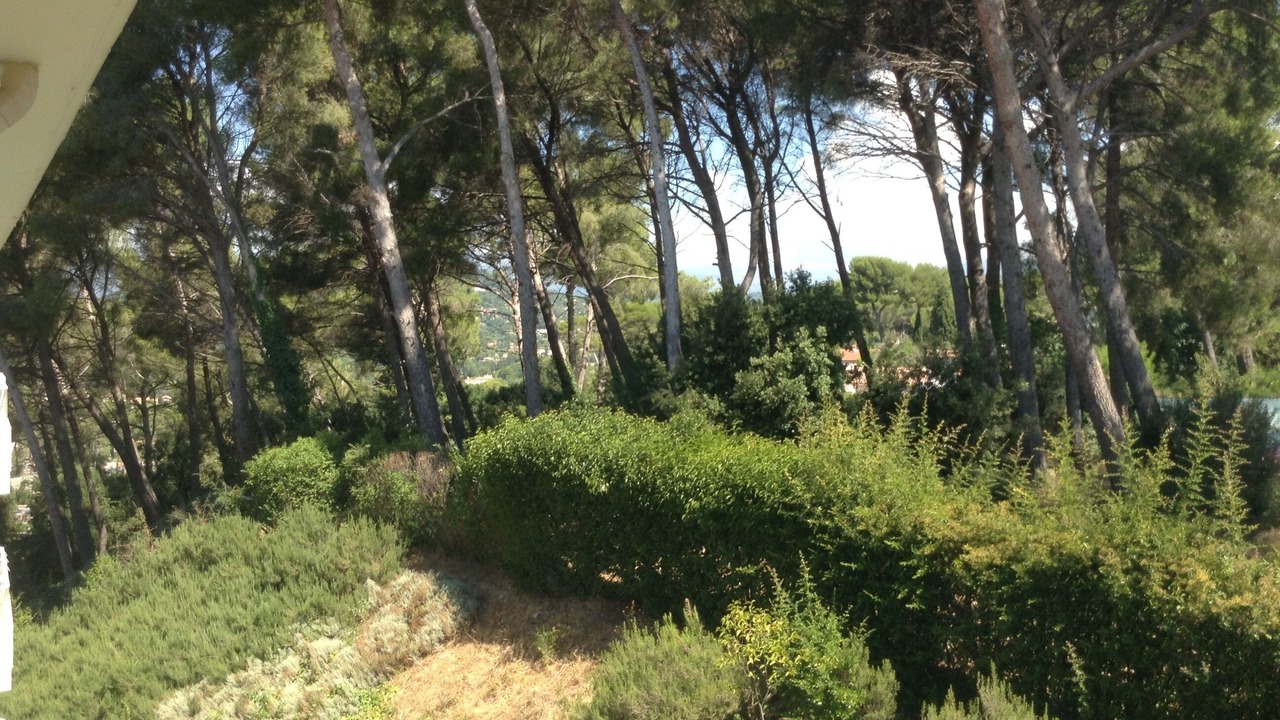 Photo of Outdoor in Le Cannet