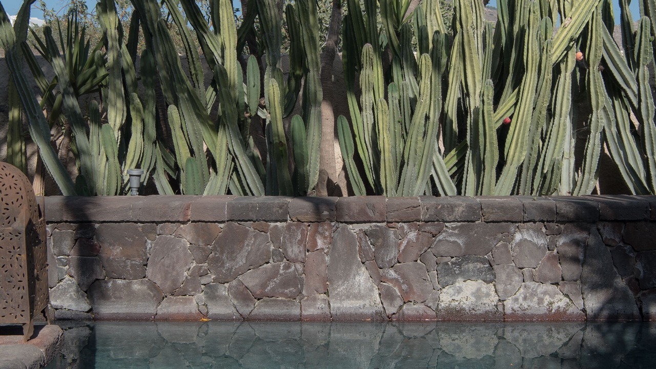 Photo of Outdoor in Megalochori