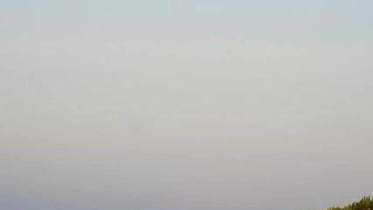 Photo of Others in Castiglioncello