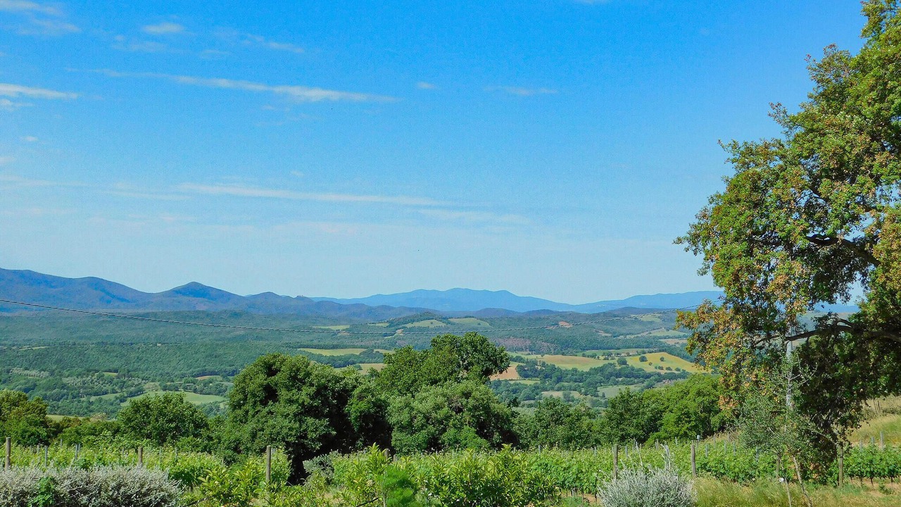 Photo of Bedroom in Civitella Marittima