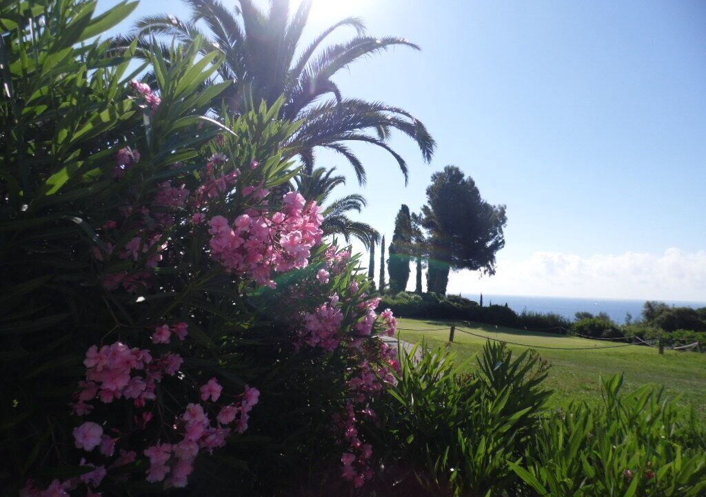 Photo of Outdoor in Cap Esterel