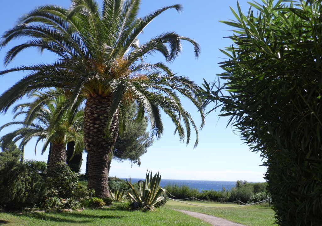 Photo of Outdoor in Cap Esterel