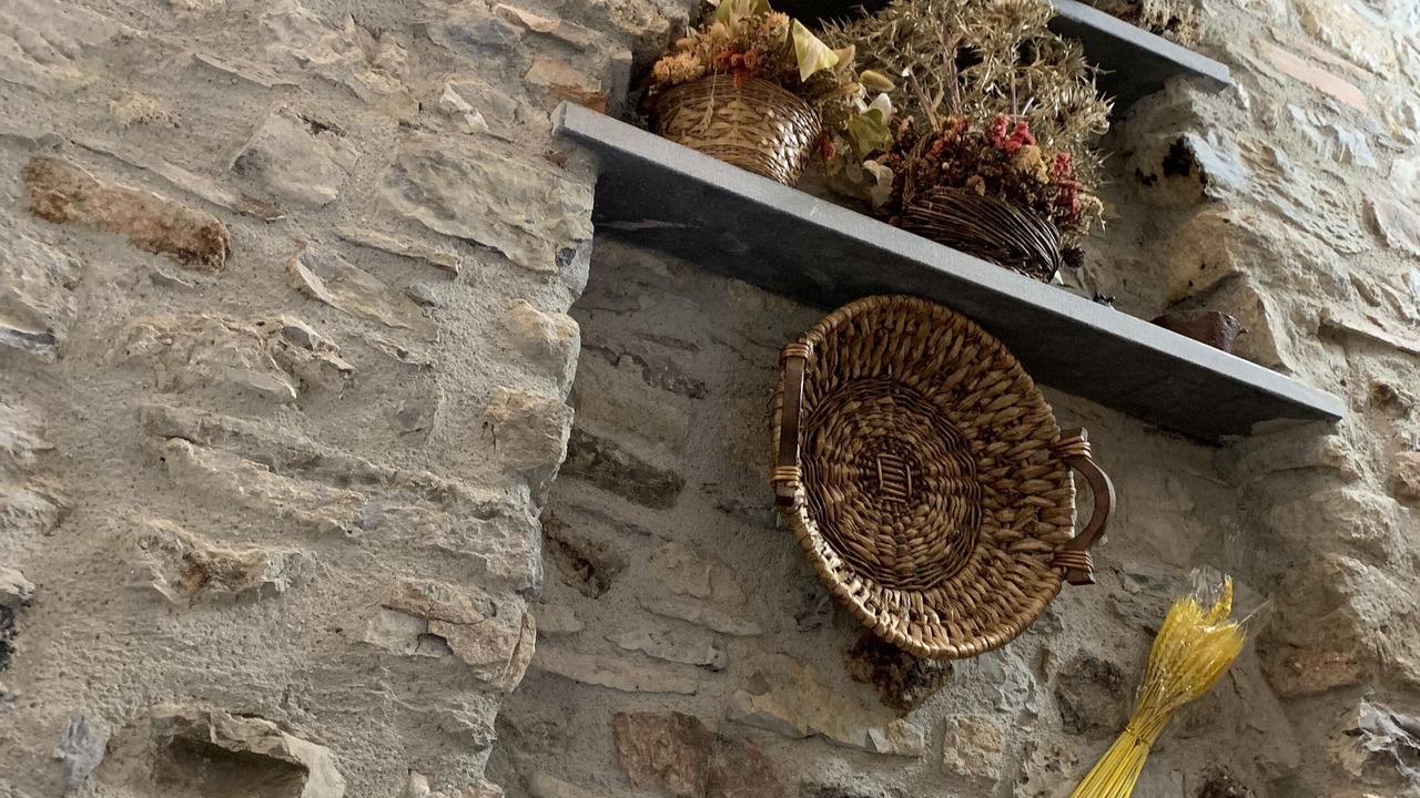 Photo of Others in Maglietola