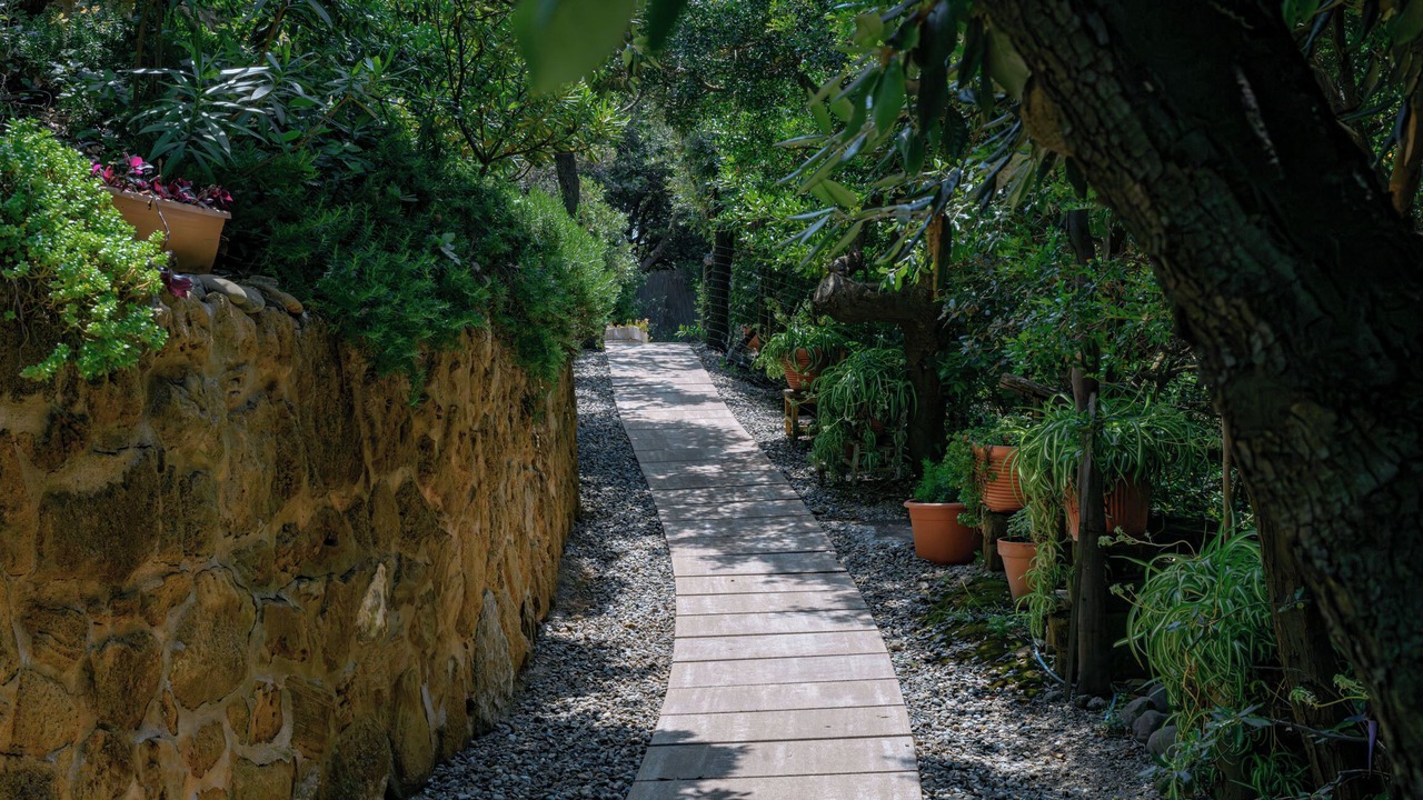 Photo of Outdoor in Castiglioncello