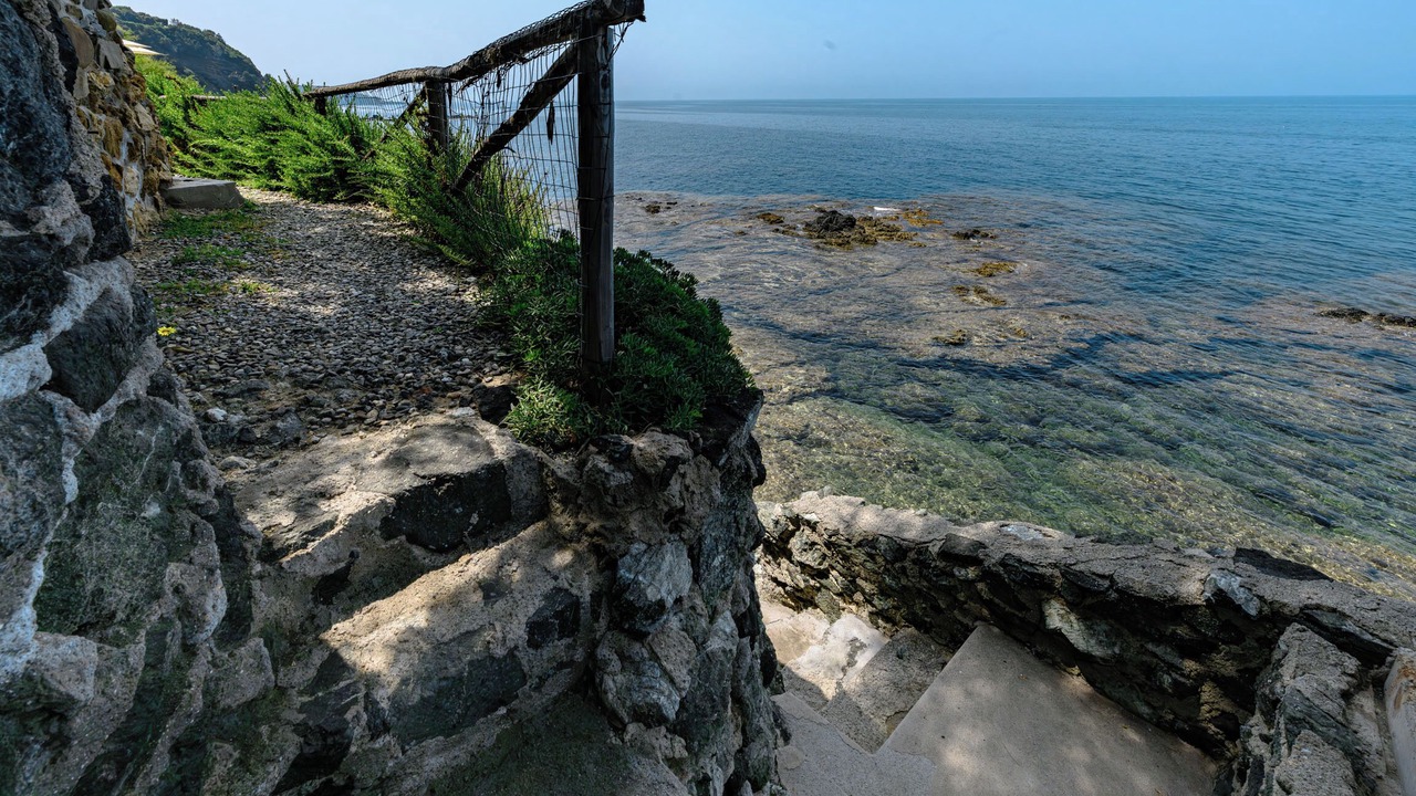 Photo of Others in Castiglioncello