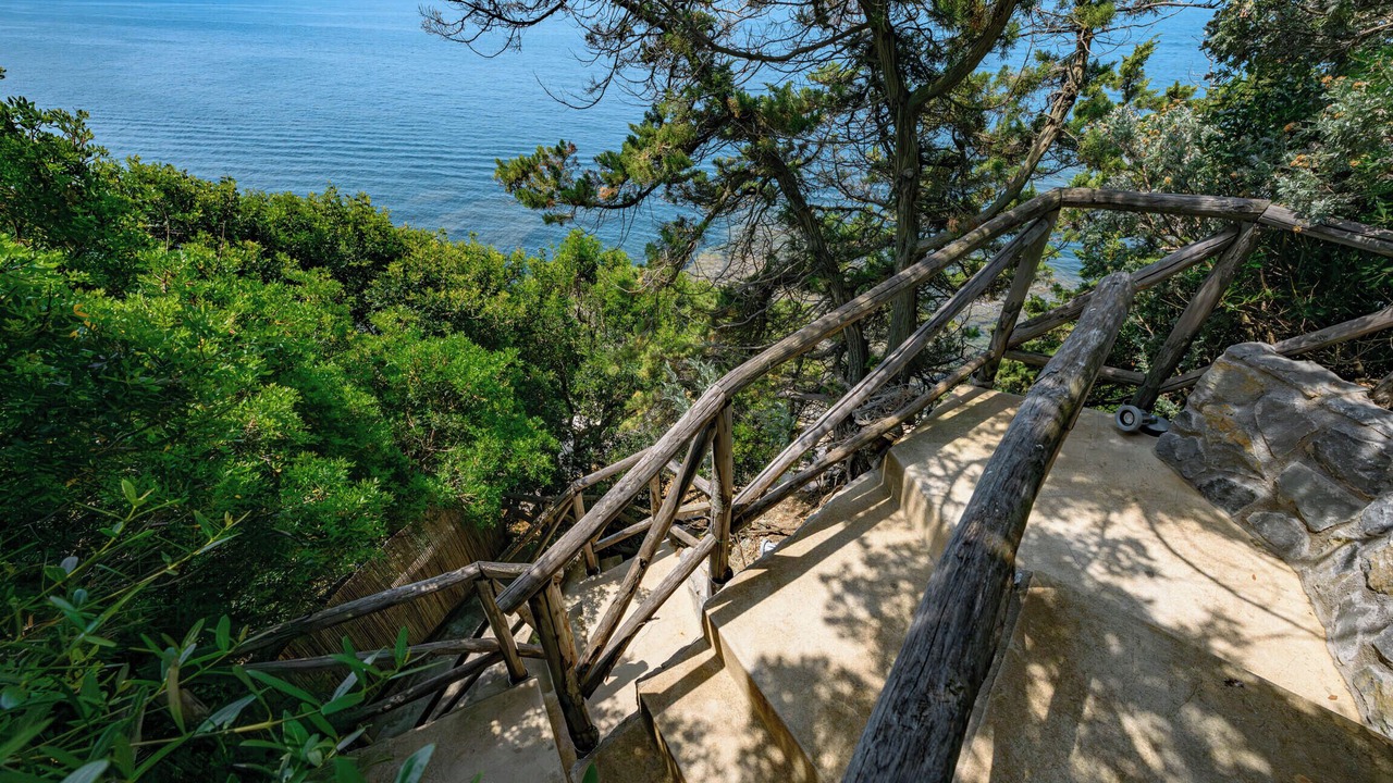 Photo of Others in Castiglioncello