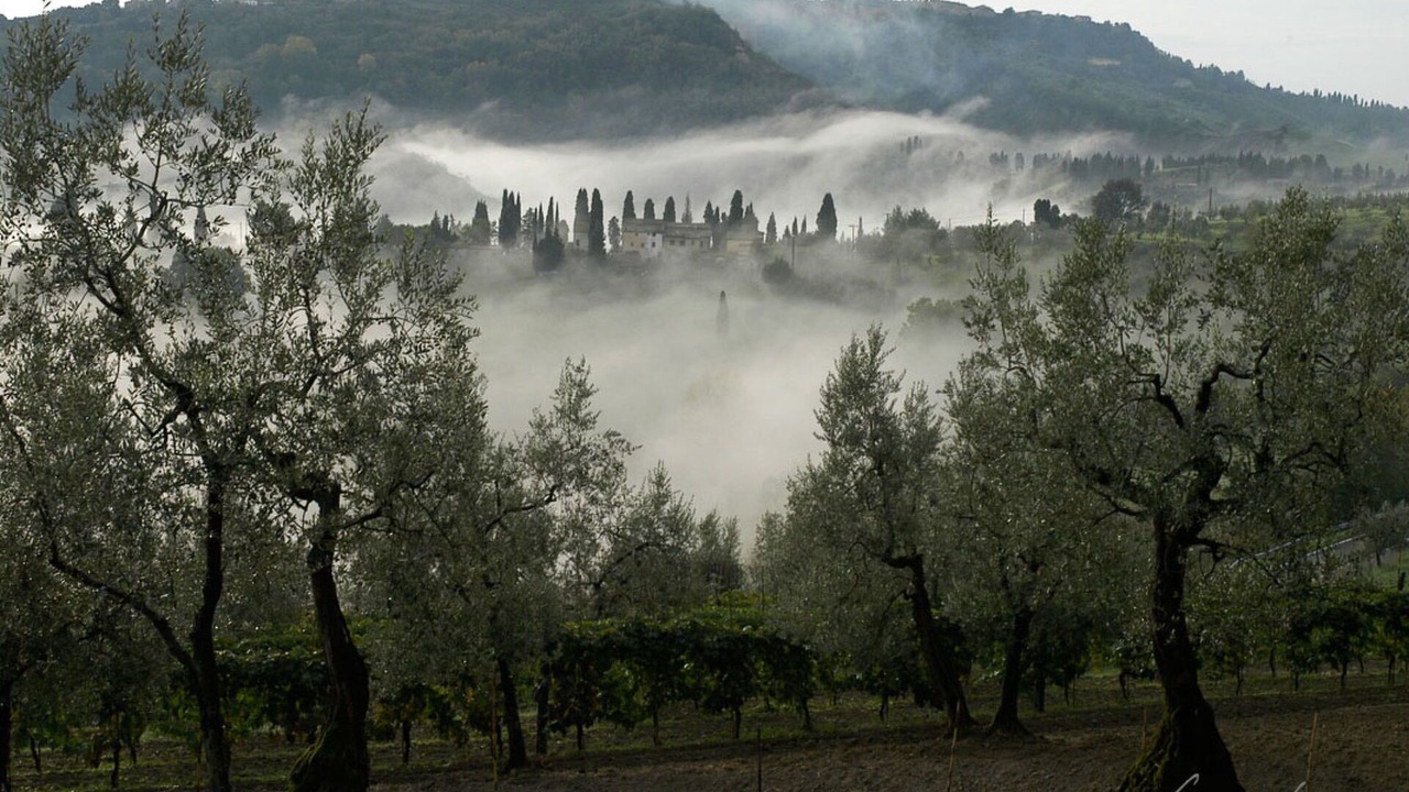 Photo of Others in Volterra