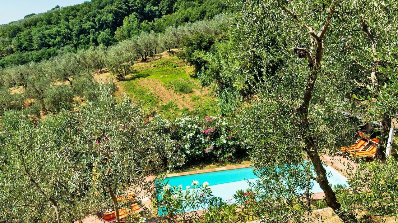 Photo of Others in Pieve a Nievole